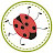 The Rowdy Ladybug