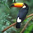 Marion Jordaan Avatar