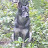 TrailMaster NatureNut