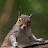 Mark Harris Avatar