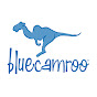 BlueCamroo Inc.
