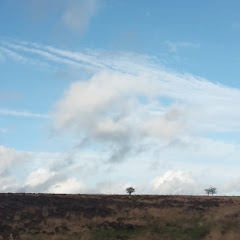 Thumbnail of related channel