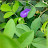 Gayathri S Avatar