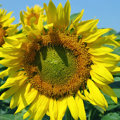 Thumbnail of related channel