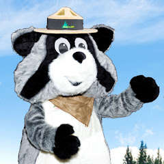 Thumbnail of related channel