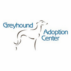 Greyhound Adoption Center