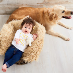 Cute Babies and Pets TV