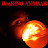 RocKING AMMAAR Avatar