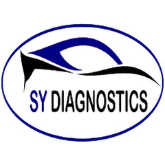 SY Diagnostics net worth