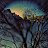 trnngthngs Avatar