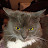 Krista hathaway Avatar