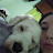ailen Avatar