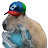 DucRain