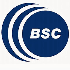 BSC CNS