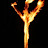 M P Avatar