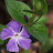Aida Moore Avatar