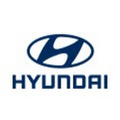 Hyundai Hrvatska net worth