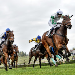 Czech Horse Racing