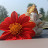 Nirali Tadvi Avatar
