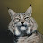 lornlynx