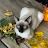 richie smith Avatar