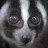 bmwnasher Avatar