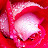 Geetanjali 1709 Avatar