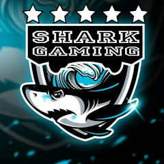 Shark Gaming net worth