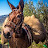 Olive Mule