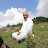 Puran Chand Avatar