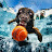 PUPPY_SKY _316