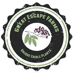 Great Escape Farms