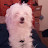 Lynn Avatar