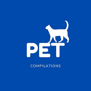 Pet Compilations YouTube Stats: Subscriber Count, Views & Upload Schedule