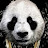 Faze panda crew Avatar