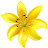 Sanjana Sugandi Avatar