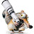 Mike Manning Avatar