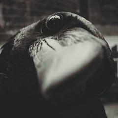 Thumbnail of related channel