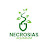 Necrosias Avatar