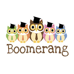 Boomerang Regularizacion