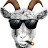 Kaaure Avatar