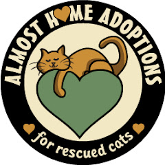 Almost Home Adoptions for rescued cats
