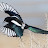 Devin Taylor Avatar