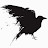 Kind Old Raven