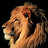 Fady khalifa Avatar