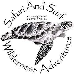 Safari and Surf - Wilderness Adventures