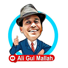 Ali Gul Mallah Sohrab Soomro Official net worth