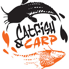 Catfish and Carp Avatar