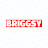 Briggxy Avatar