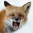 Snarls Barky